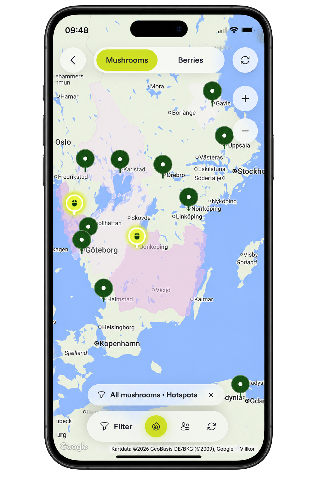 Explore the mushroom and berry map